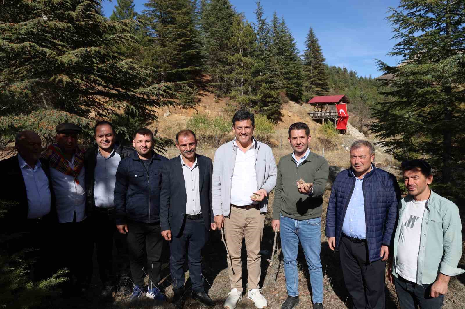 Kilosu etle yarışıyor: Japonların gözdesi sedir mantarı çıktı 10 kilosu etle yarisiyor japonlarin gozdesi sedir mantari cikti 6 jwDz3wNW