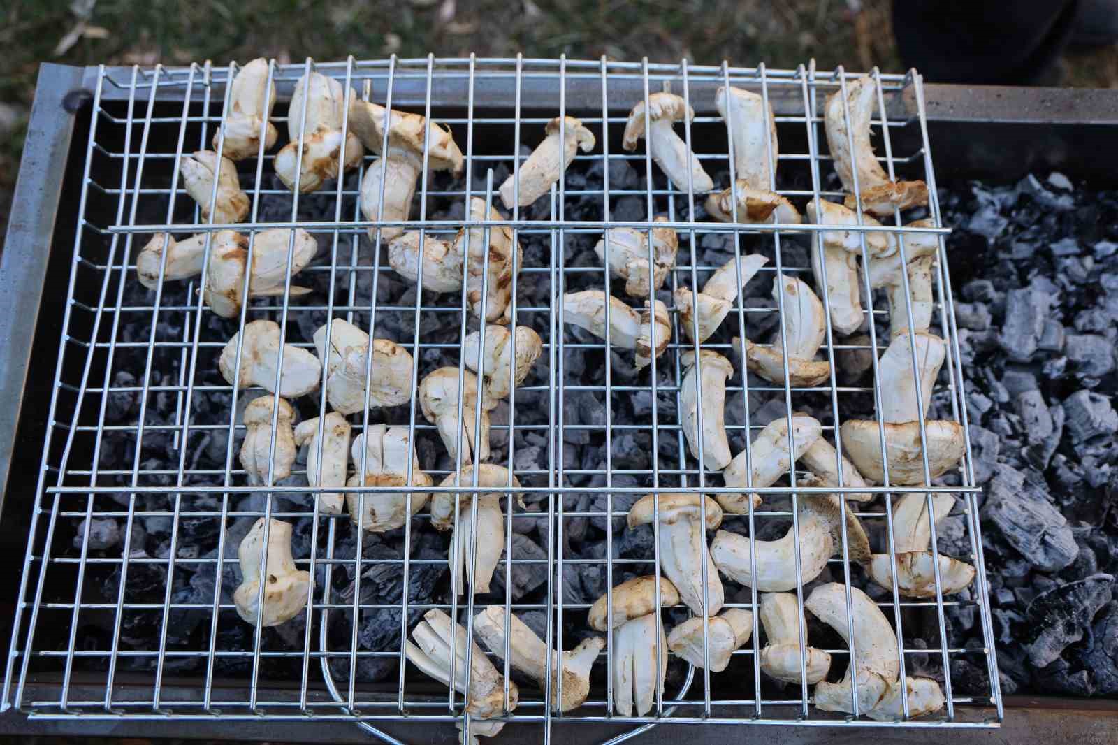 Kilosu etle yarışıyor: Japonların gözdesi sedir mantarı çıktı 11 kilosu etle yarisiyor japonlarin gozdesi sedir mantari cikti 7 g3QsTwJb