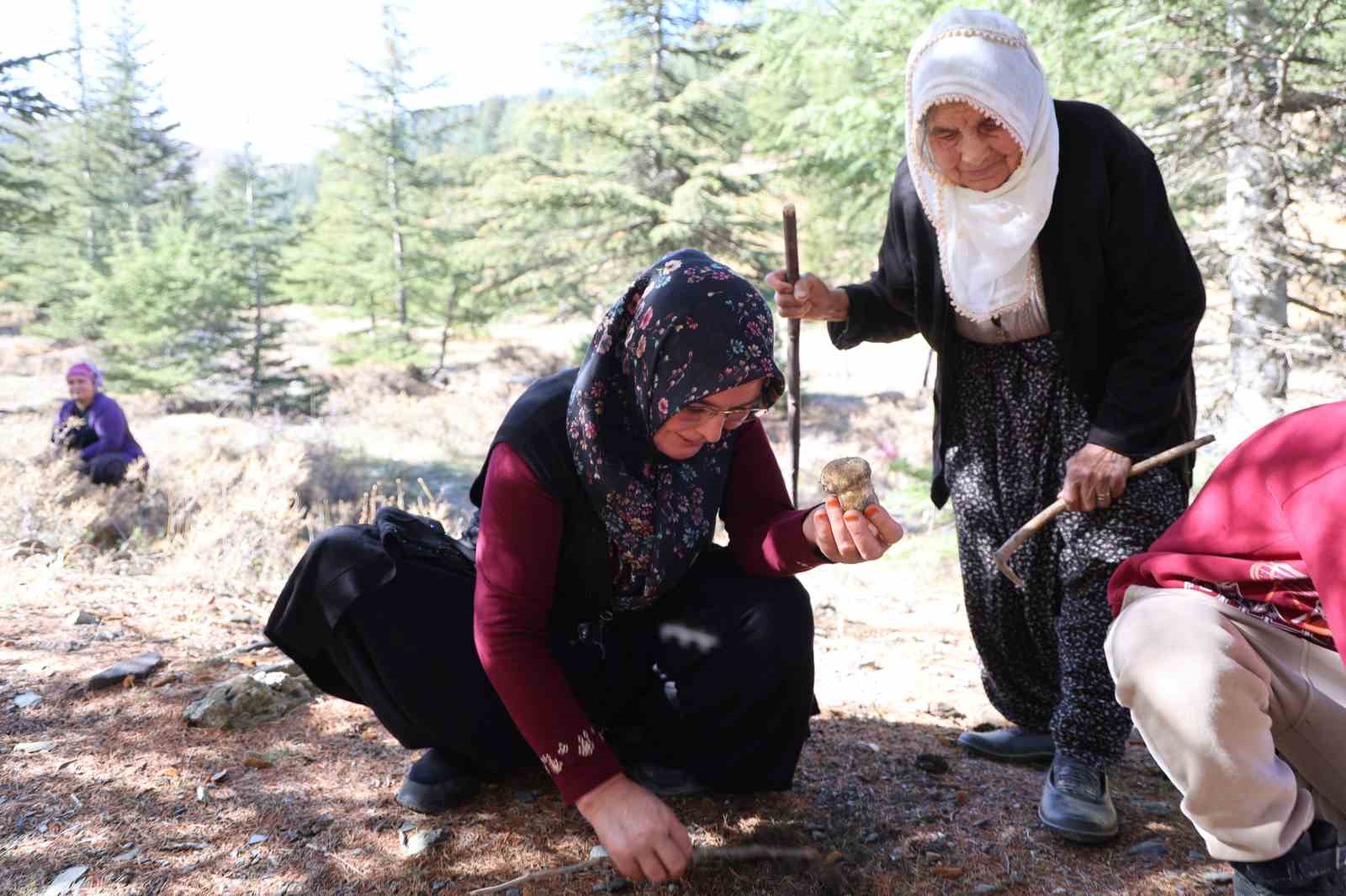 Kilosu etle yarışıyor: Japonların gözdesi sedir mantarı çıktı 12 kilosu etle yarisiyor japonlarin gozdesi sedir mantari cikti 8 JDRYTTgB