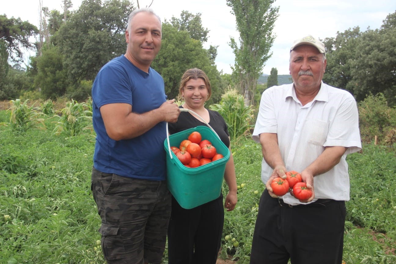 Kiralık topraklarda en iyi domatesi yetiştiriyorlar 4 kiralik topraklarda en iyi domatesi yetistiriyorlar 0 ZrOKyJSd