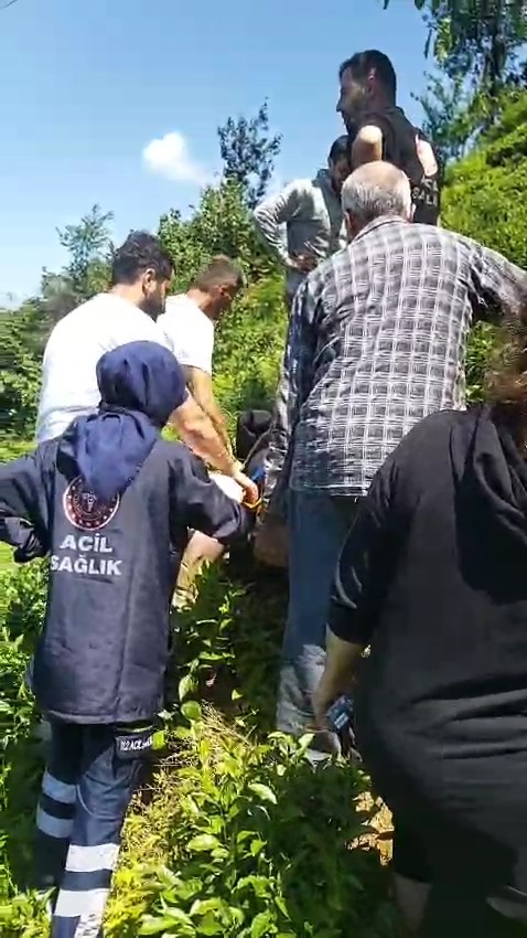 Kiraz toplamak için çıktığı ağaçtan düştü 5 kiraz toplamak icin ciktigi agactan dustu 1