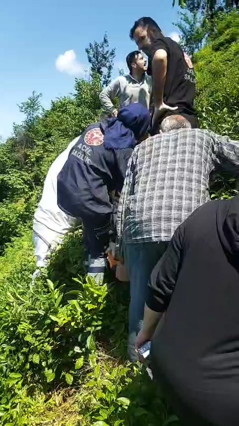Kiraz toplamak için çıktığı ağaçtan düştü 6 kiraz toplamak icin ciktigi agactan dustu 2 PeS8zzZt