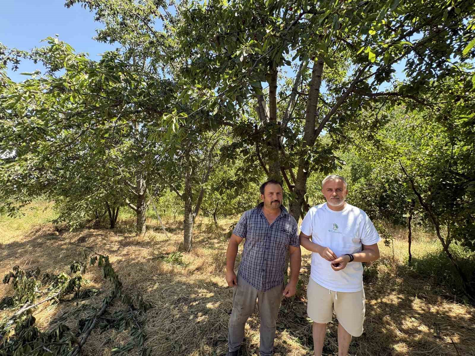 kiraz yedikten sonra zehirlenerek oldukleri iddia edilen cift yan yana topraga verildi 2 6SlXFGvF