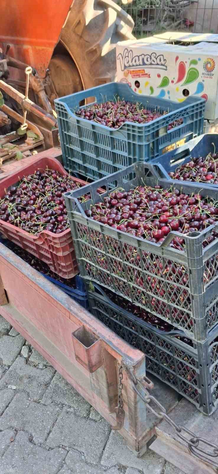 "Kirazda, 2024 yılında sattığımız fiyatları göremiyoruz" 6 kirazda 2024 yilinda sattigimiz fiyatlari goremiyoruz 2 kaBlnnNv