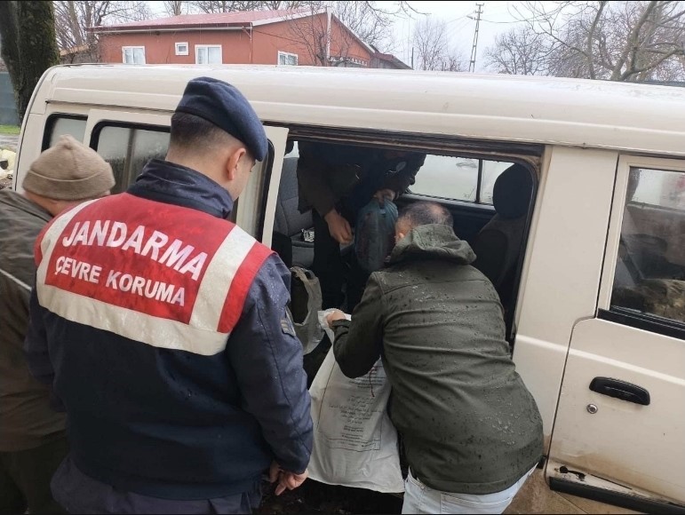 kirklarelide yasa disi karaca avina agir ceza 1 fDAvA1GD
