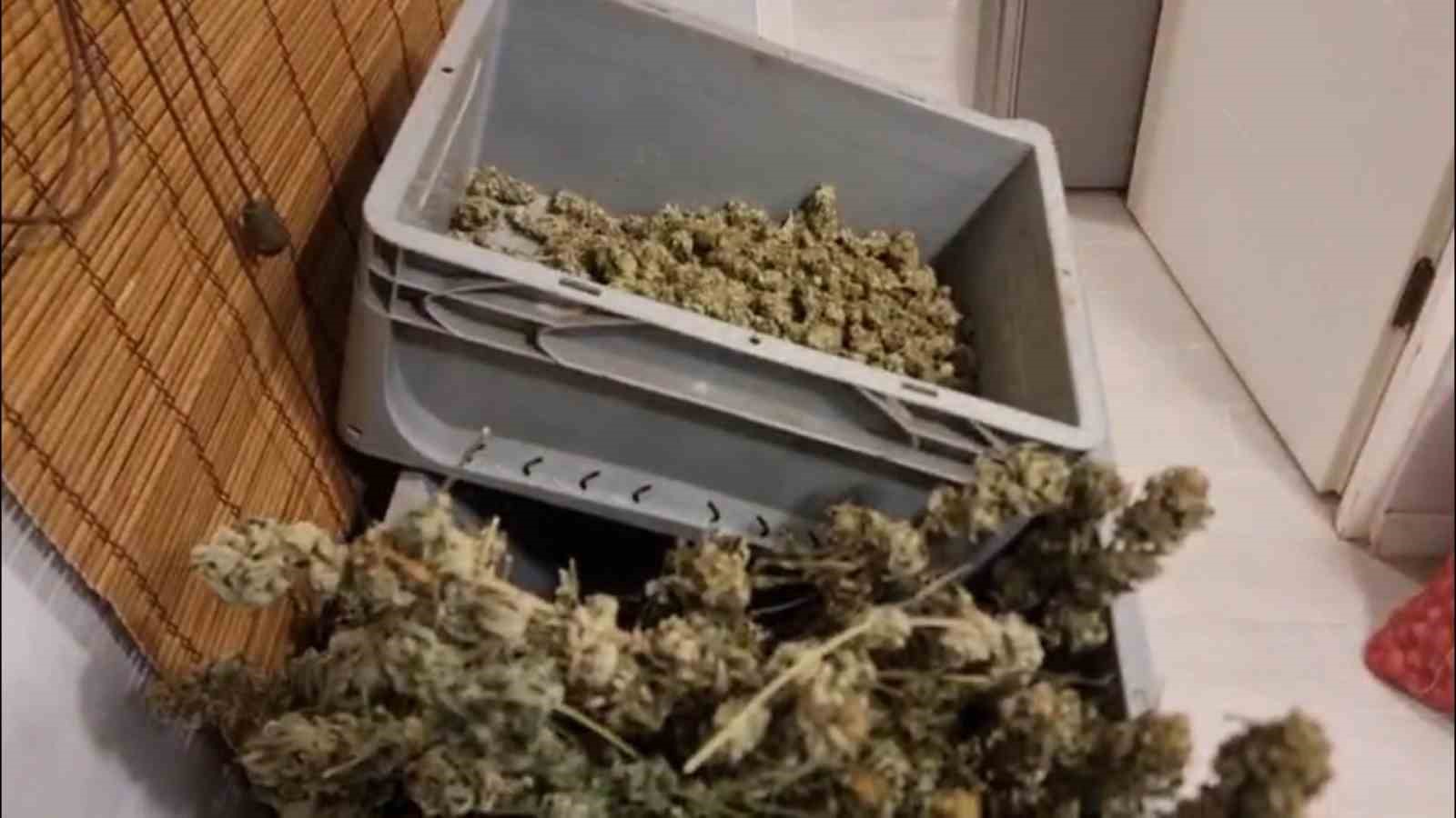 kirklarelinde 54 kilogram esrar ele gecirildi 1 tutuklama 1 aMOA67OD