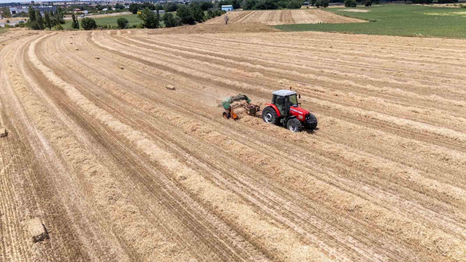Kırklareli’nde saman balyası mesaisi: Günde 500 balya taşıyorlar 5 kirklarelinde saman balyasi mesaisi gunde 500 balya tasiyorlar 1 J3gDYpPG