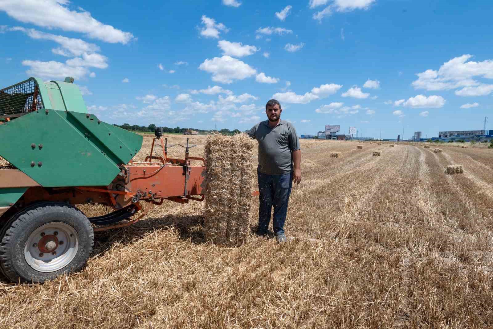 Kırklareli’nde saman balyası mesaisi: Günde 500 balya taşıyorlar 9 kirklarelinde saman balyasi mesaisi gunde 500 balya tasiyorlar 5 TGzVZNFc
