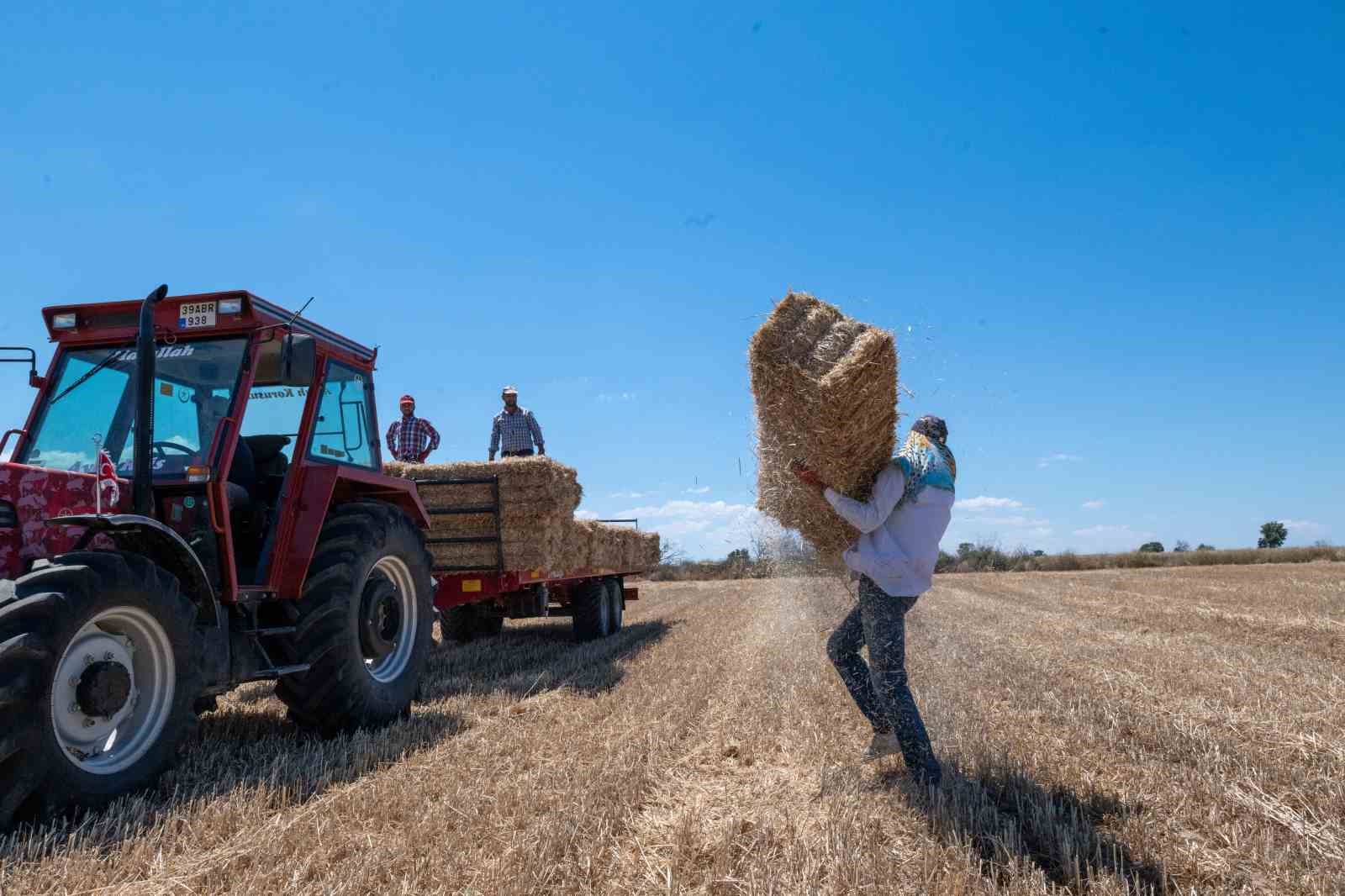 Kırklareli’nde saman balyası mesaisi: Günde 500 balya taşıyorlar 10 kirklarelinde saman balyasi mesaisi gunde 500 balya tasiyorlar 6 51dqmpBu