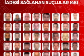 Yüksekova’da hafif ticari araç ile vinç çarpıştı: 1 yaralı 2 thumbnail