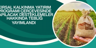 kirsal-kalkinma-yatirimlarina-yuzde-70e-varan-hibe-destegi-baC1Z27F.jpg