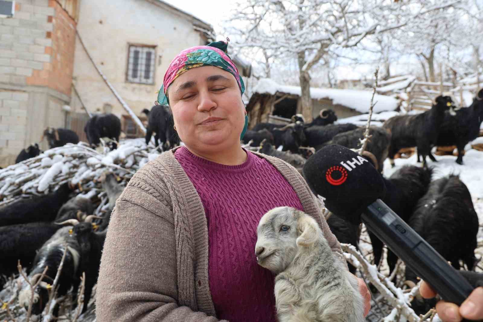 kirsalda hayvancilikla ugrasan kadin besicinin zorlu mesaisi 4 SkZXdklg