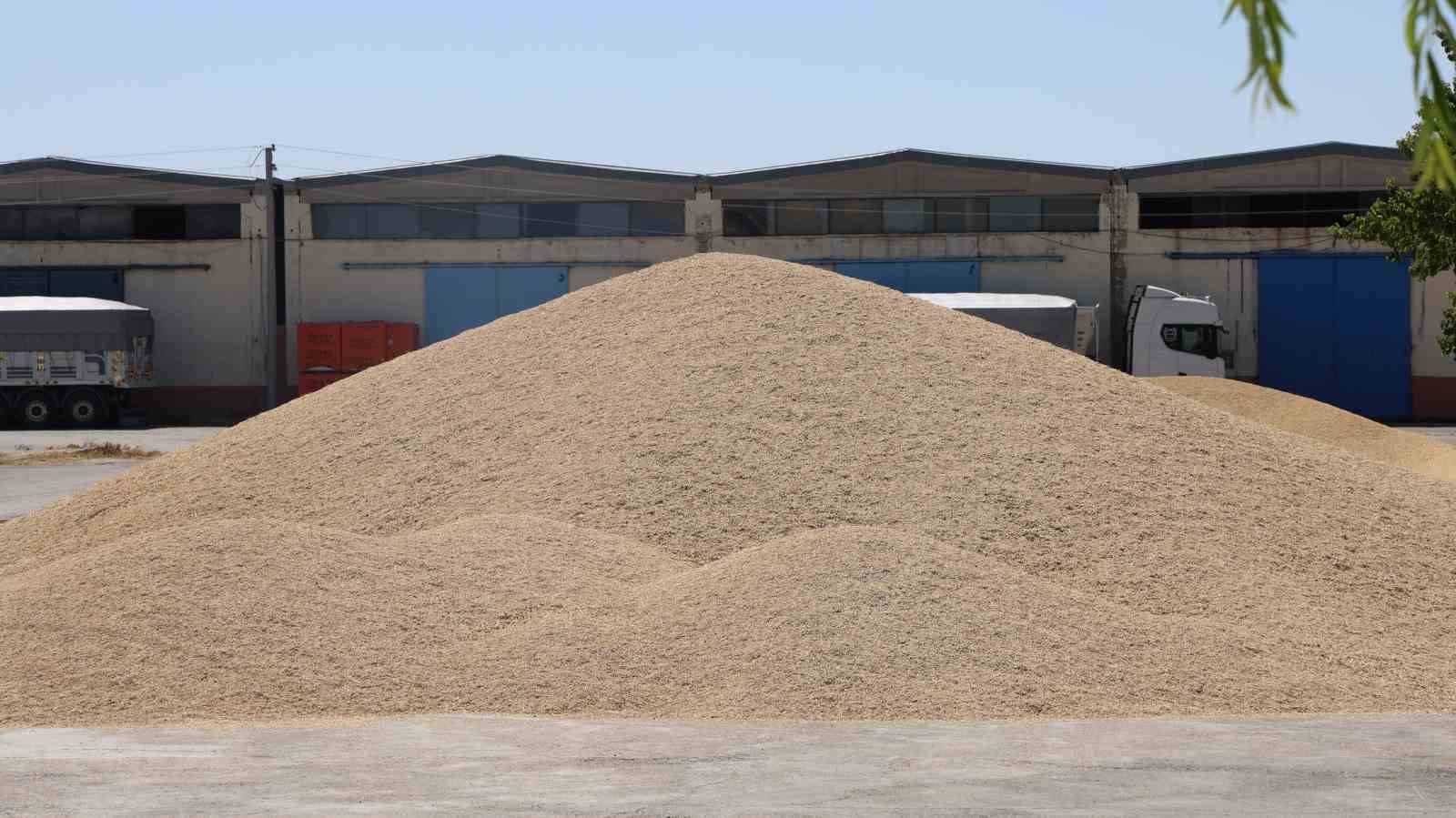 kirsehirde arpa ve bugdayda hasat basladi 0 Upya2pyl