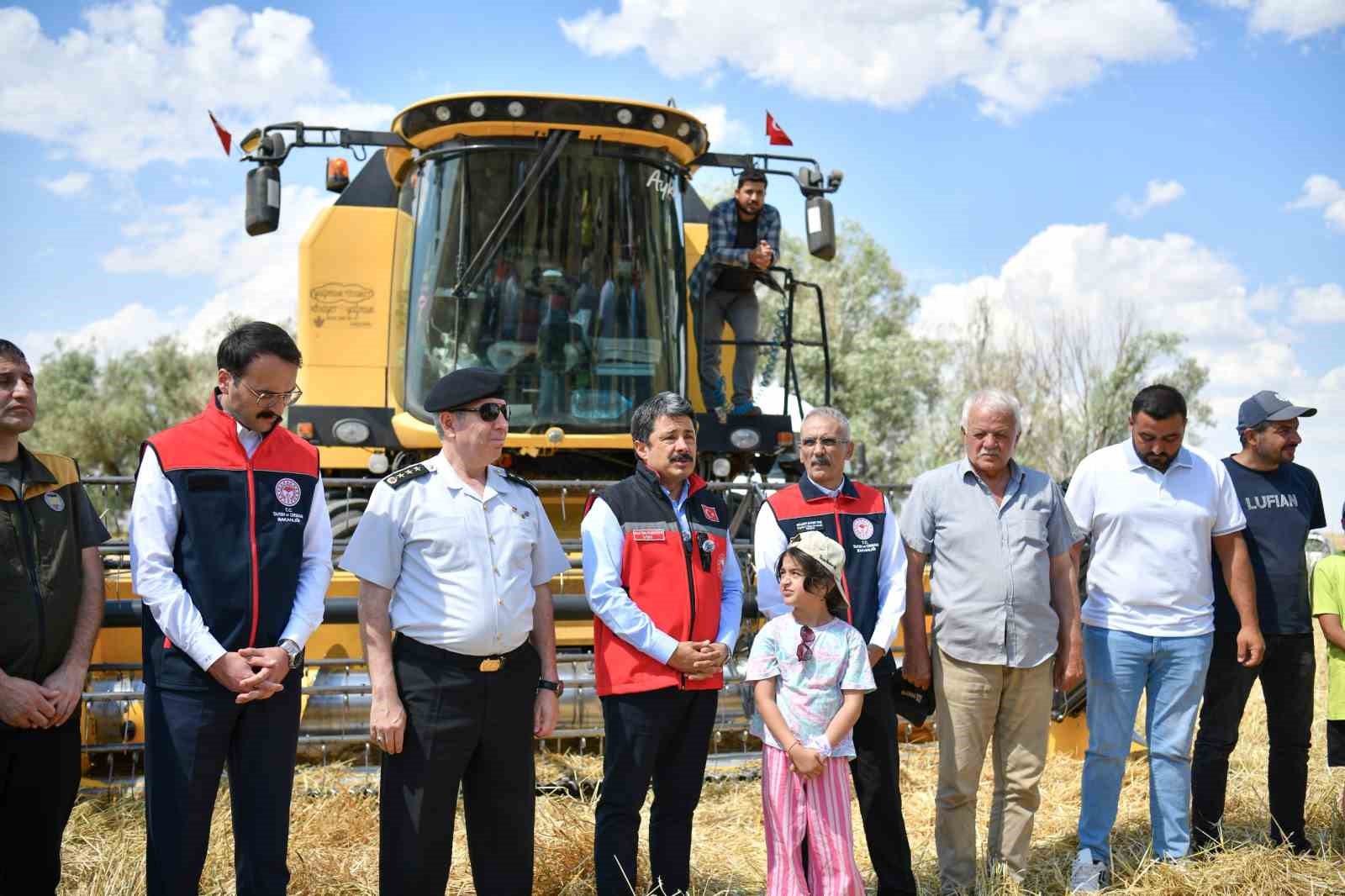 kirsehirde arpa ve bugdayda hasat basladi 4 iuMQeVFv