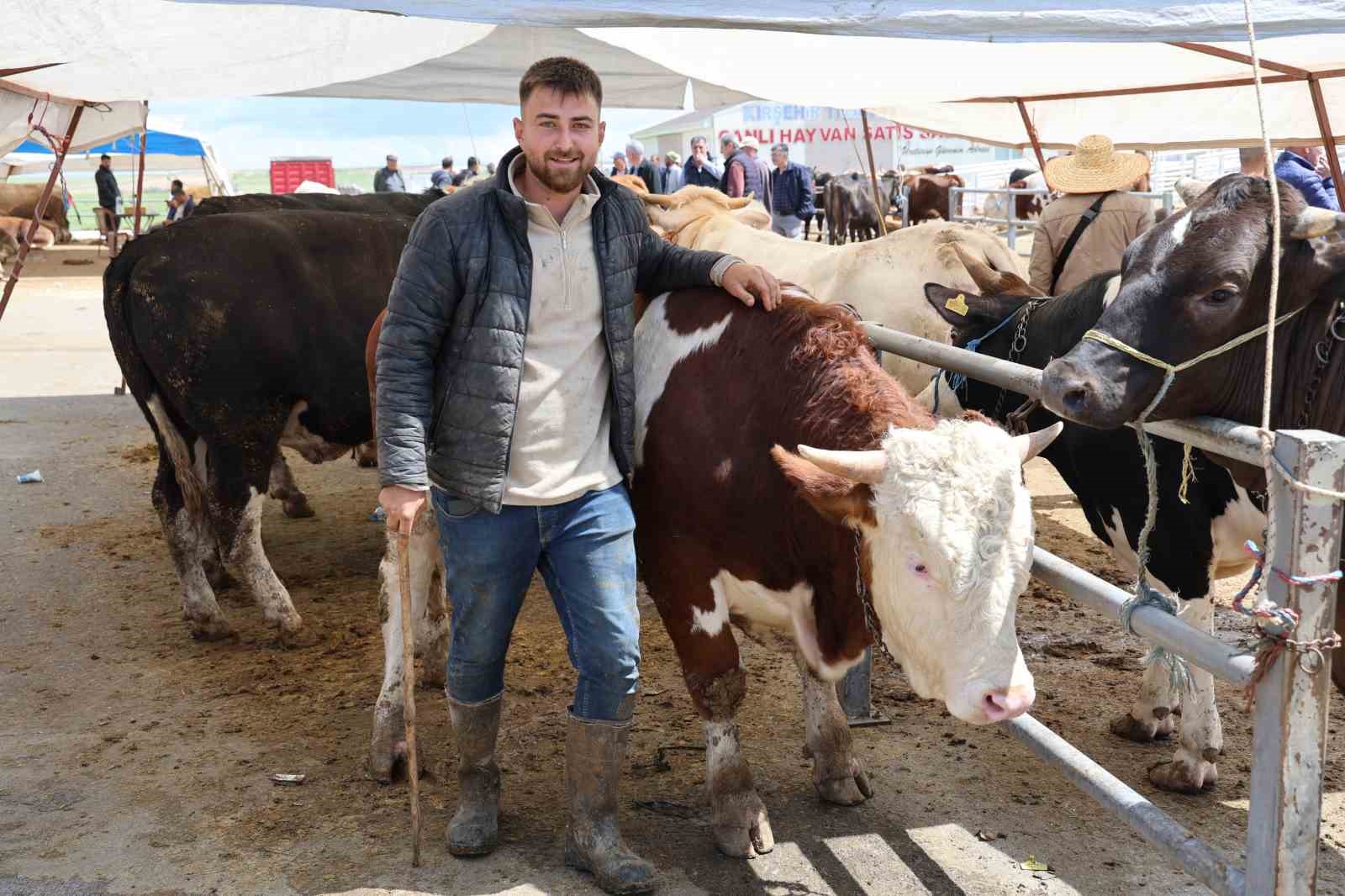 Kırşehir’de otomobil fiyatına inek: 830 kiloluk hayvan 300 bin TL’ye satıldı 5 kirsehirde otomobil fiyatina inek 830 kiloluk hayvan 300 bin tlye satildi 1 kiRRWEtT