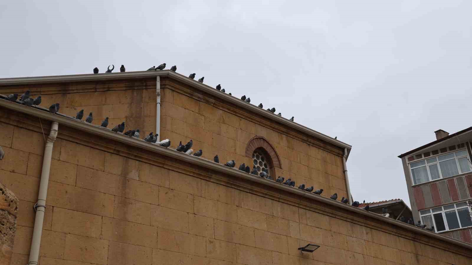 kirsehirde tarihi kapucu camii guvercinlerin yuvasi oldu 2 7PFife4k