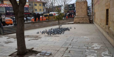 kirsehirde-tarihi-kapucu-camii-guvercinlerin-yuvasi-oldu-7UIMgwkW.jpg