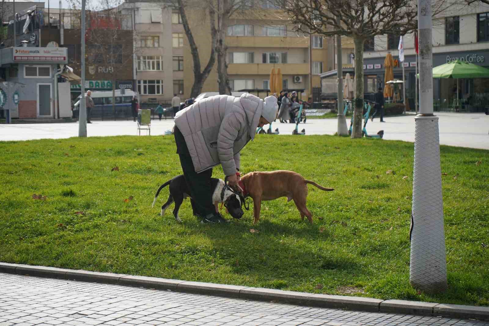 kis ortasinda sonbahar havasi 0 DspeR1Tm