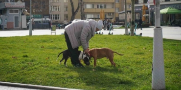 kis-ortasinda-sonbahar-havasi-X7EXUG5k.jpg
