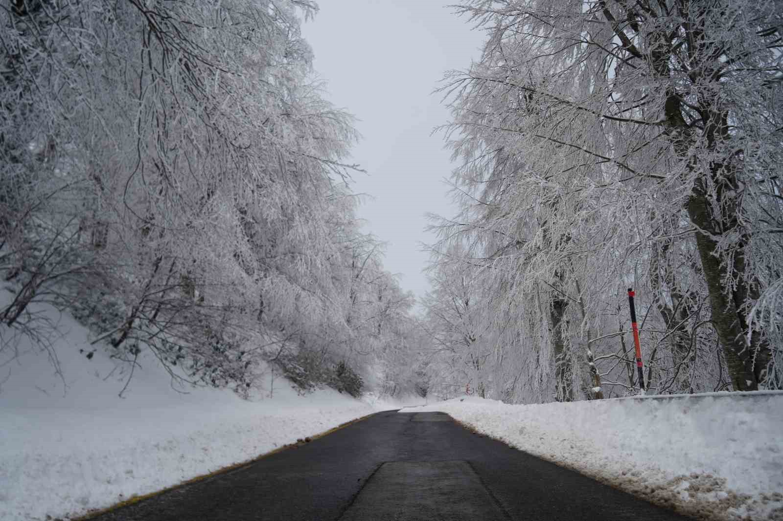 kis turizminin gozdesi kartepede kar sevinci 14 DGHWtcPZ