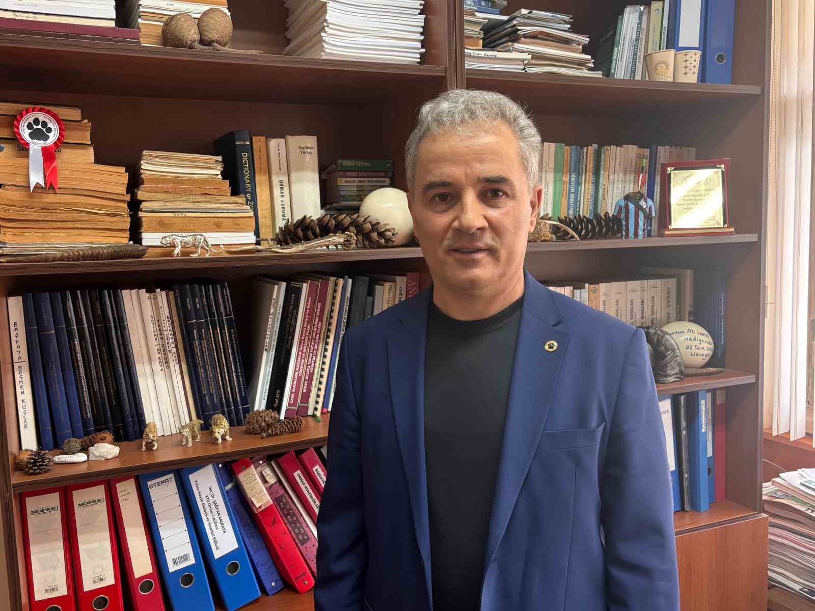 Kış uykusu bitti, ayı istilası başladı 5 kis uykusu bitti ayi istilasi basladi 1 D37z7L4b