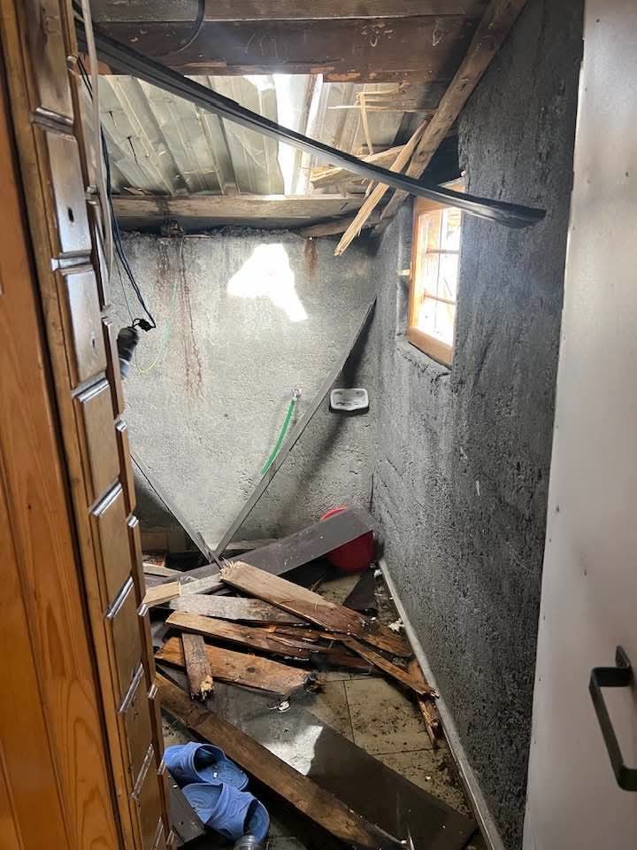 Kış uykusu bitti, ayı istilası başladı 9 kis uykusu bitti ayi istilasi basladi 5 LpG1ZwdY