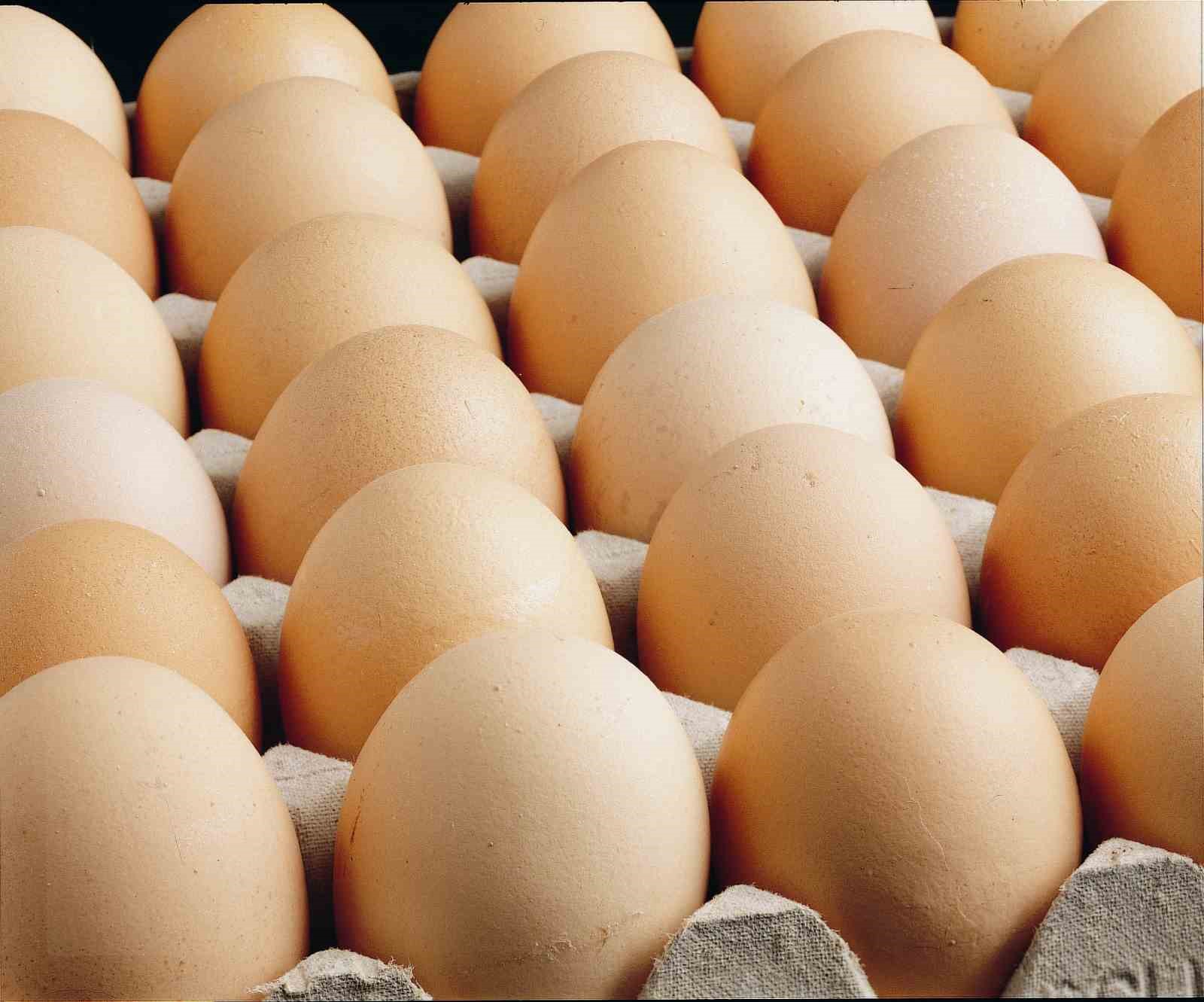 kisi basina dusen yumurta uretimi 15 adet azaldi 0 UPTwBiDH