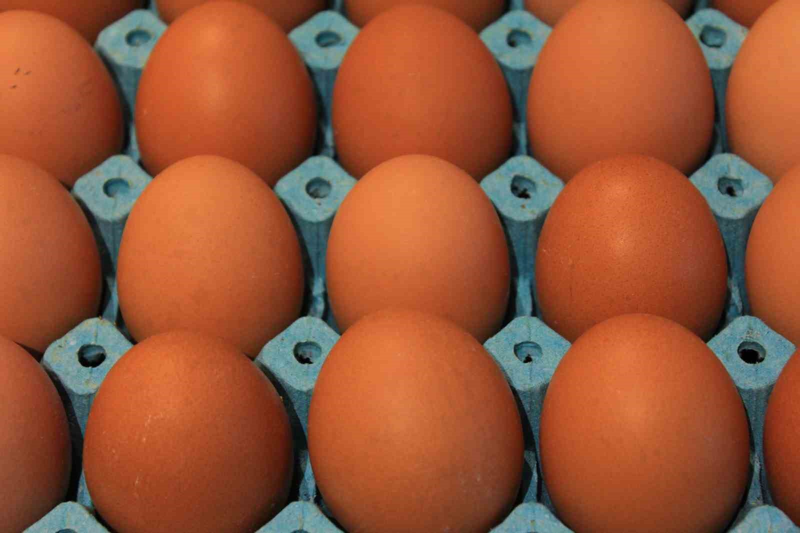 kisi basina dusen yumurta uretimi 15 adet azaldi 1 Gpicu6FJ