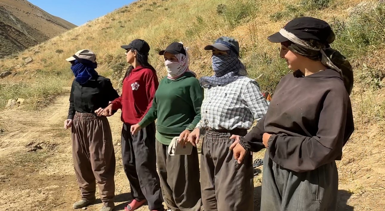 kizgin gunes atinda halayli sut mesaisi berivanlar bakanliktan golgelik istiyor 7 1rOveItX