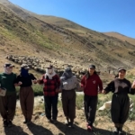 kizgin-gunes-atinda-halayli-sut-mesaisi-berivanlar-bakanliktan-golgelik-istiyor-KSDJNqB7.jpg