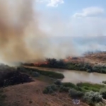 kizilirmak-nehri-cevresinde-korkutan-ortu-yangini-SMWBt7Rc.jpg