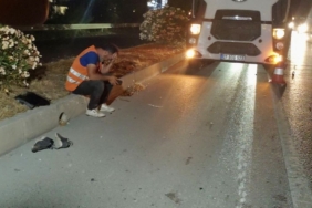Yalova’da DEAŞ operasyonunda 1 tutuklama 2 thumbnail