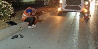 kizini-yksye-goturmek-icin-yola-cikti-feci-kazada-hayatini-kaybetti-ME4CEl7p.jpg