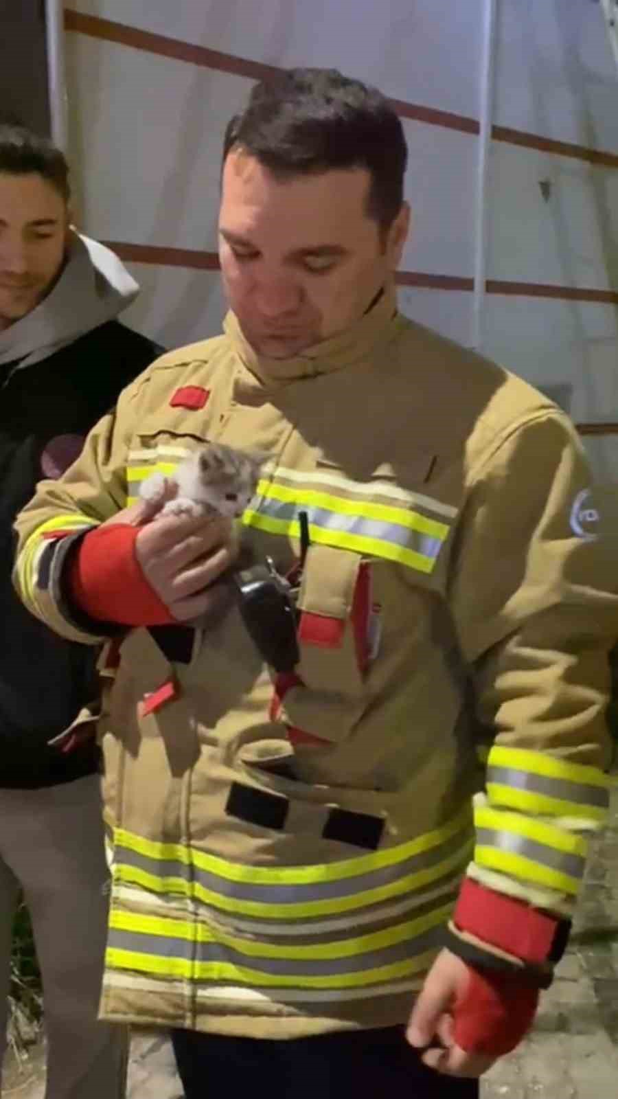 klima motoruna sikisan yavru kedi kurtarildi 4