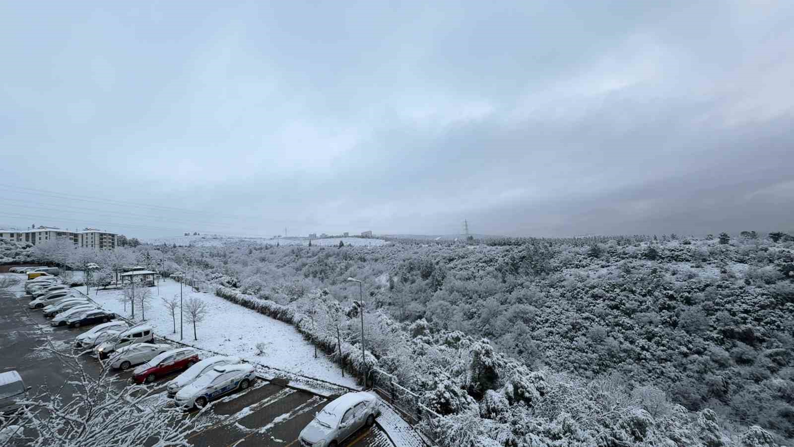 kocaeli beyaza burundu 1