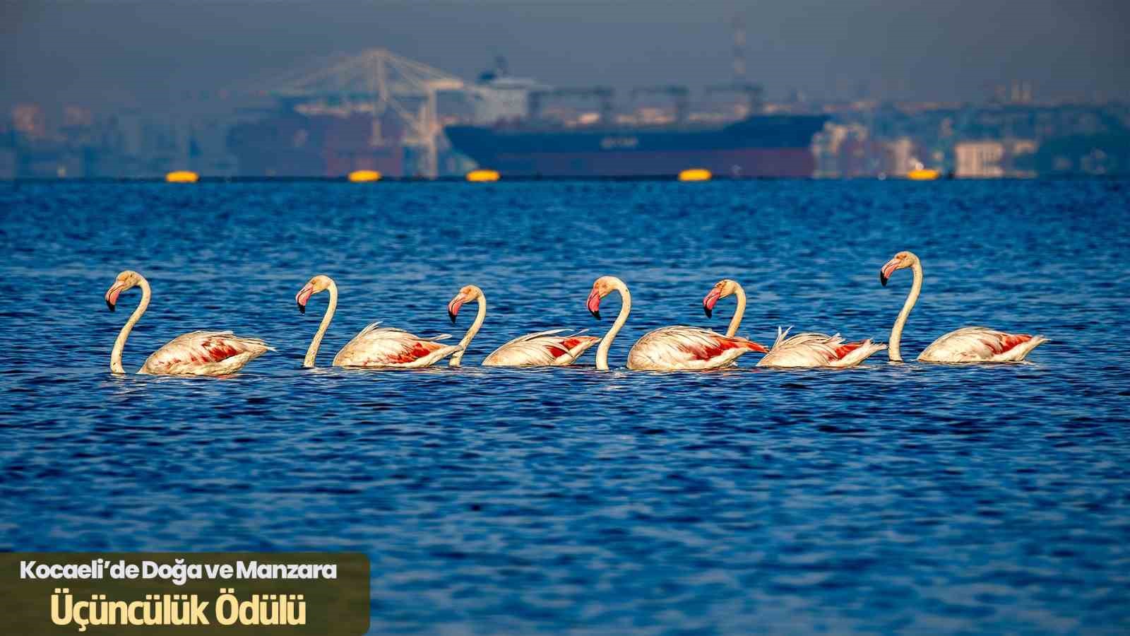kocaeli turist gozuyle objektiflere tasindi 2