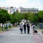 kocaeli-universitesinde-sahipsiz-kopekler-azaldi-ogrencilerin-endisesi-bitmedi-C4bfv7YK.jpg