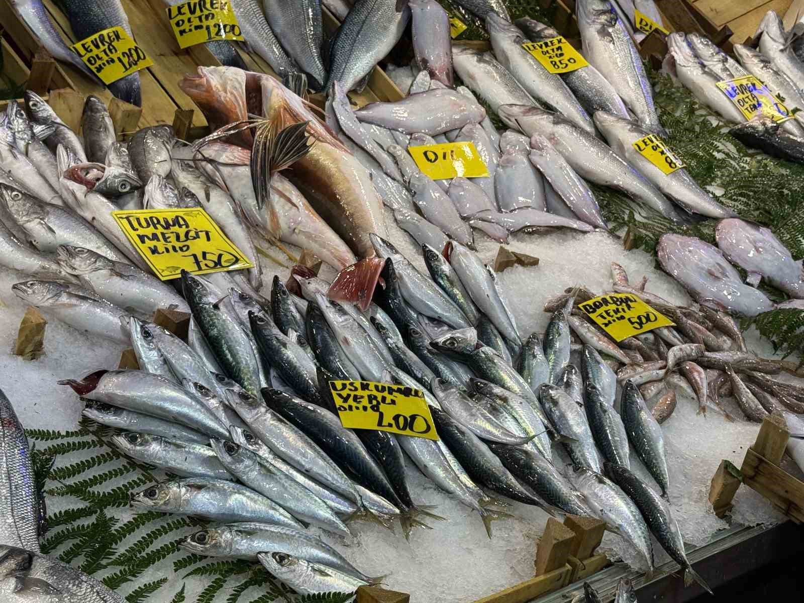 kocaelide balik tezgahlarindaki son durum 1 s9e7Q1Dw