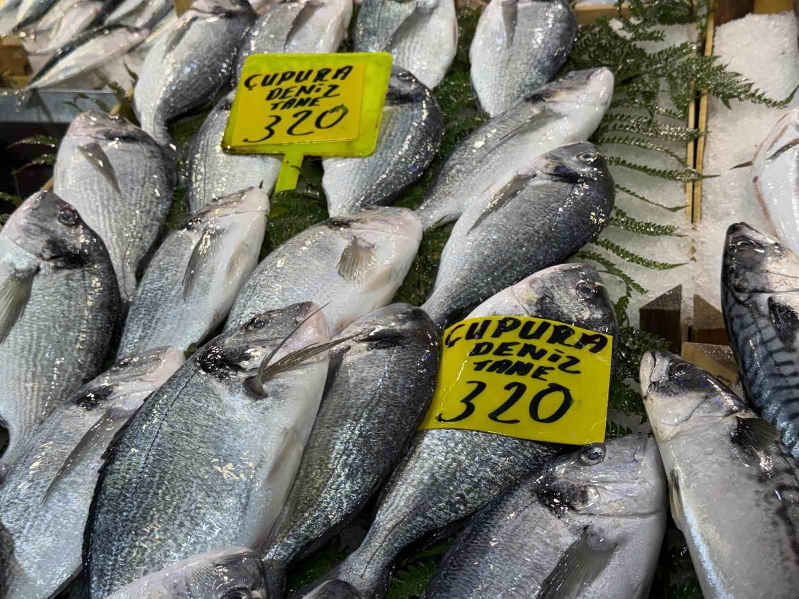 kocaelide balik tezgahlarindaki son durum 3 NqI4MNZD