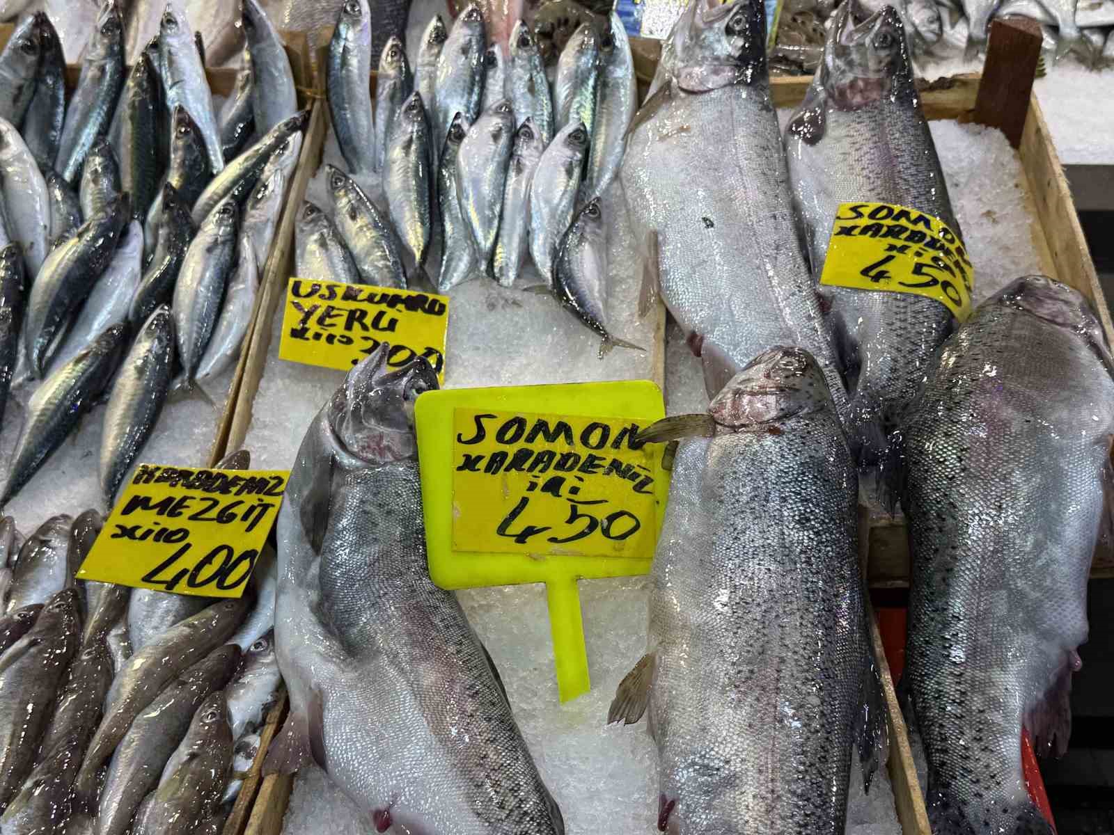 kocaelide balik tezgahlarindaki son durum 5 AFi4f7ey