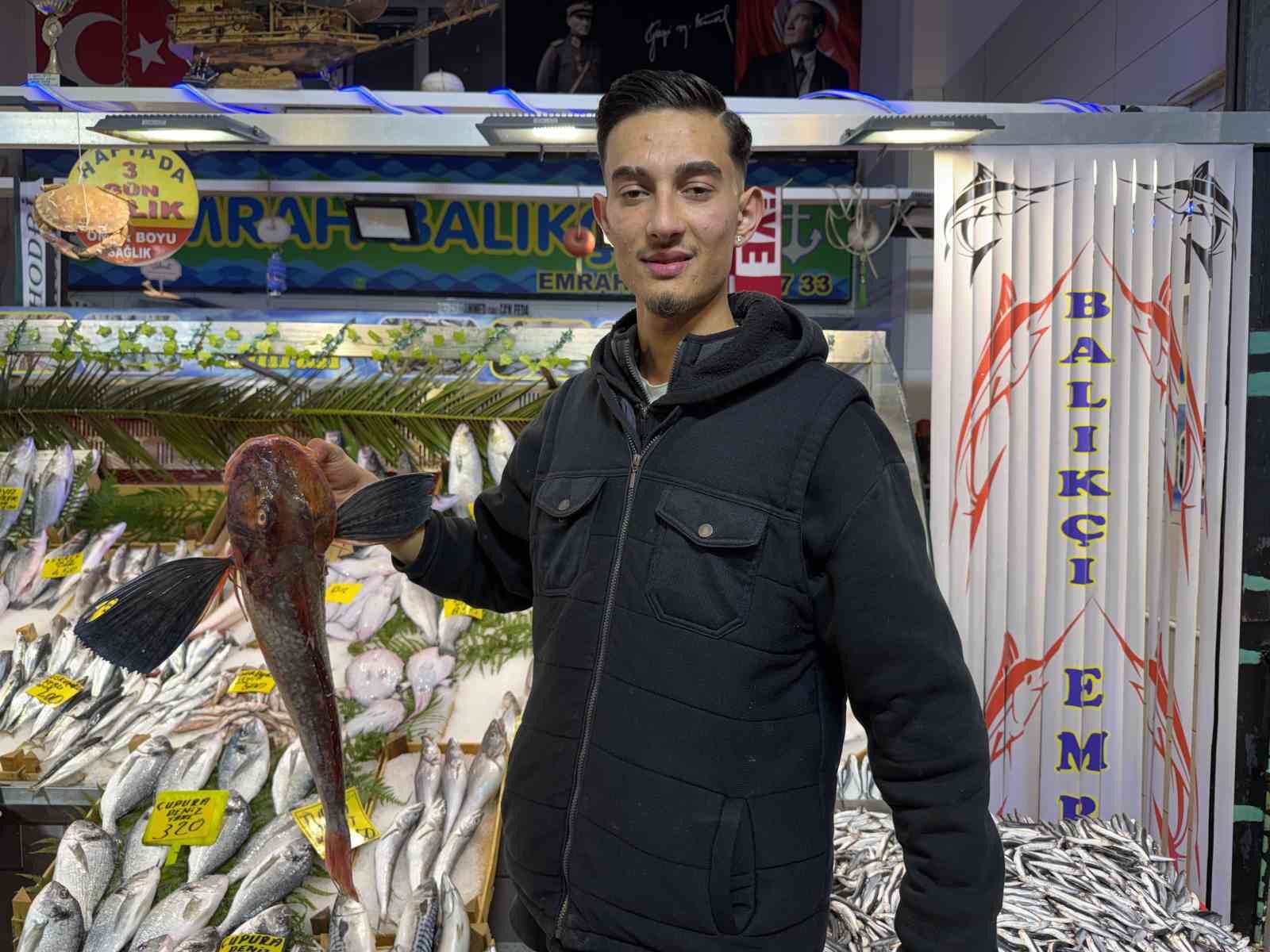 kocaelide balik tezgahlarindaki son durum 6 Ijp7KGLI