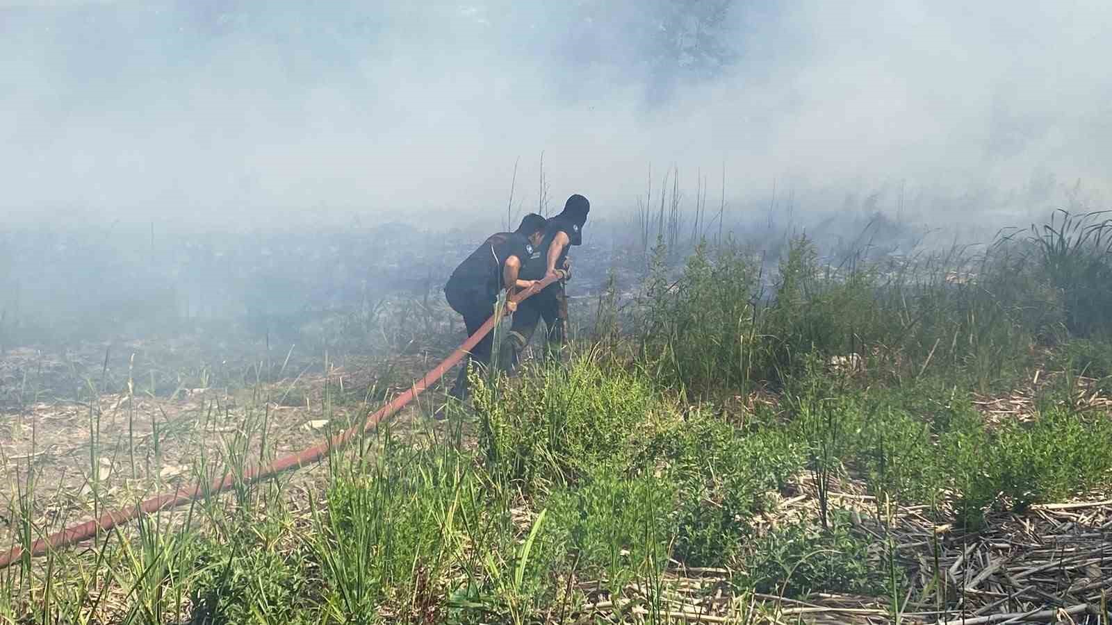 kocaelide cikan sazlik yangininda 10 donum alan zarar gordu 4 PA33VyPG