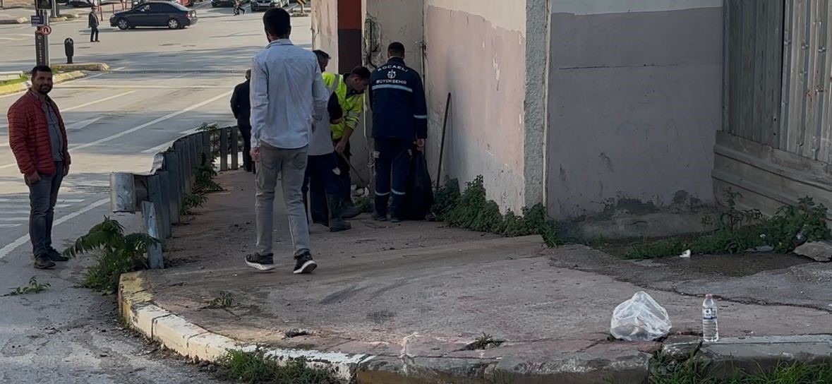 kocaelide freni bosalan otobus duvara carpti 3u polis 7 yarali 0 aWNZzq1k