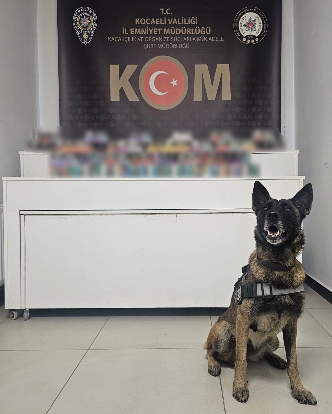 kocaelide kacakcilik operasyonunda 4 gozalti 1 5BIH3mkX