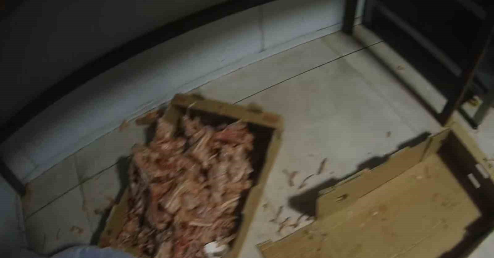 kocaelide merdiven alti tavuk parcalama tesisine sucustu 2 b8U4tEbh