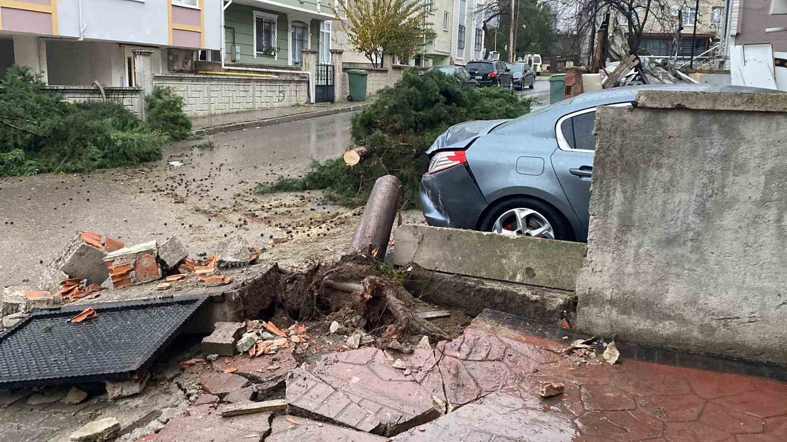kocaelide siddetli ruzgar 12 metrelik agaci devirdi yol trafige kapandi 0 gQPX5Yfl