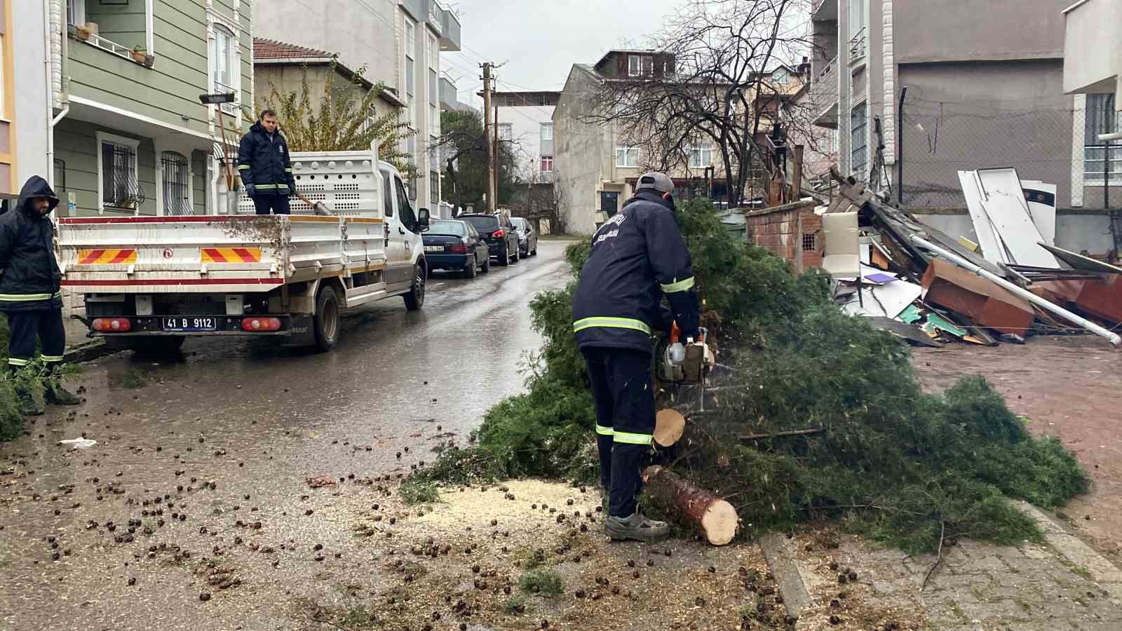 kocaelide siddetli ruzgar 12 metrelik agaci devirdi yol trafige kapandi 1