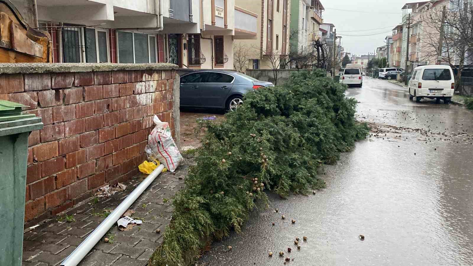 kocaelide siddetli ruzgar 12 metrelik agaci devirdi yol trafige kapandi 2 ralU5Qnj
