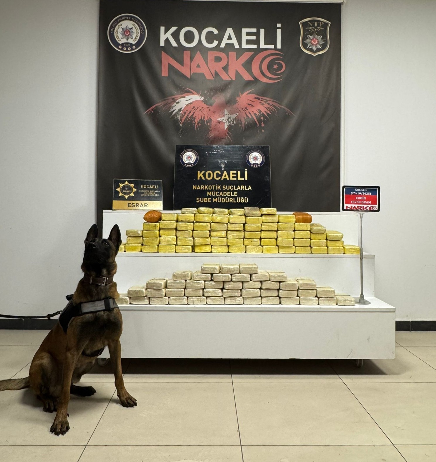 kocaelideki operasyonlarda 51 kilo uyusturucu ele gecirildi 4 1sBN3OVT