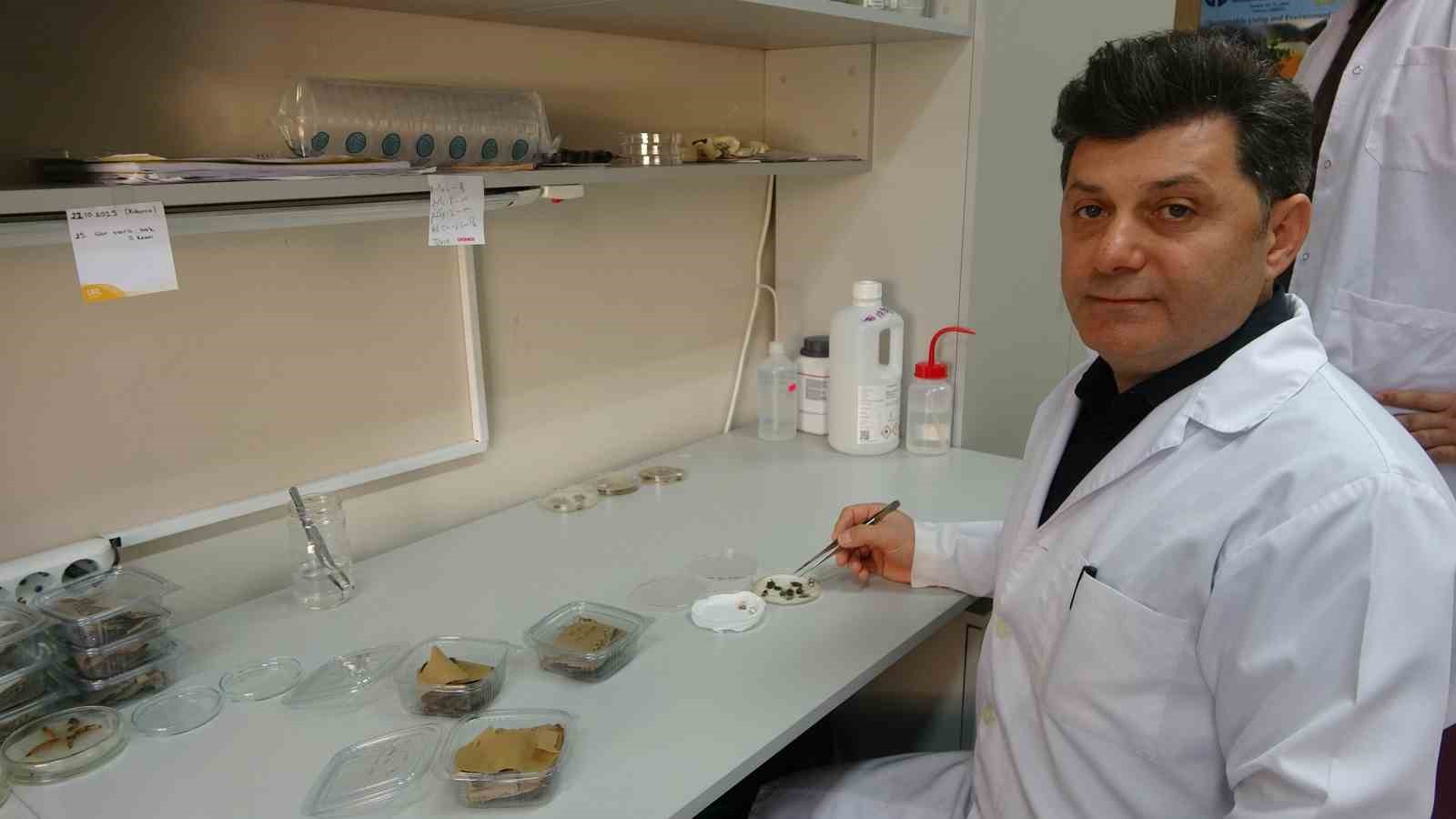kokarcanin findiktaki zarari derinlesiyor 1 8pDQ9pgN